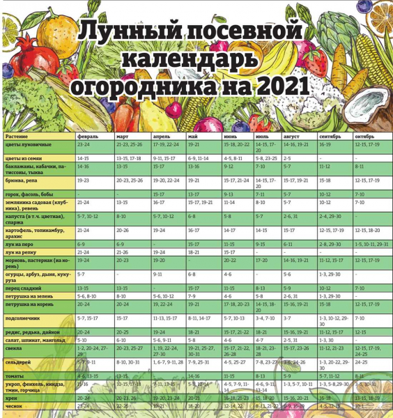 Лунный календарь садовода и огородника на октябрь 2021 года