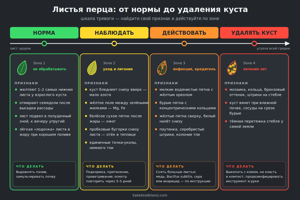 Шкала тревоги для листьев перца: норма, наблюдать, действовать, удалять растение — признаки каждой зоны